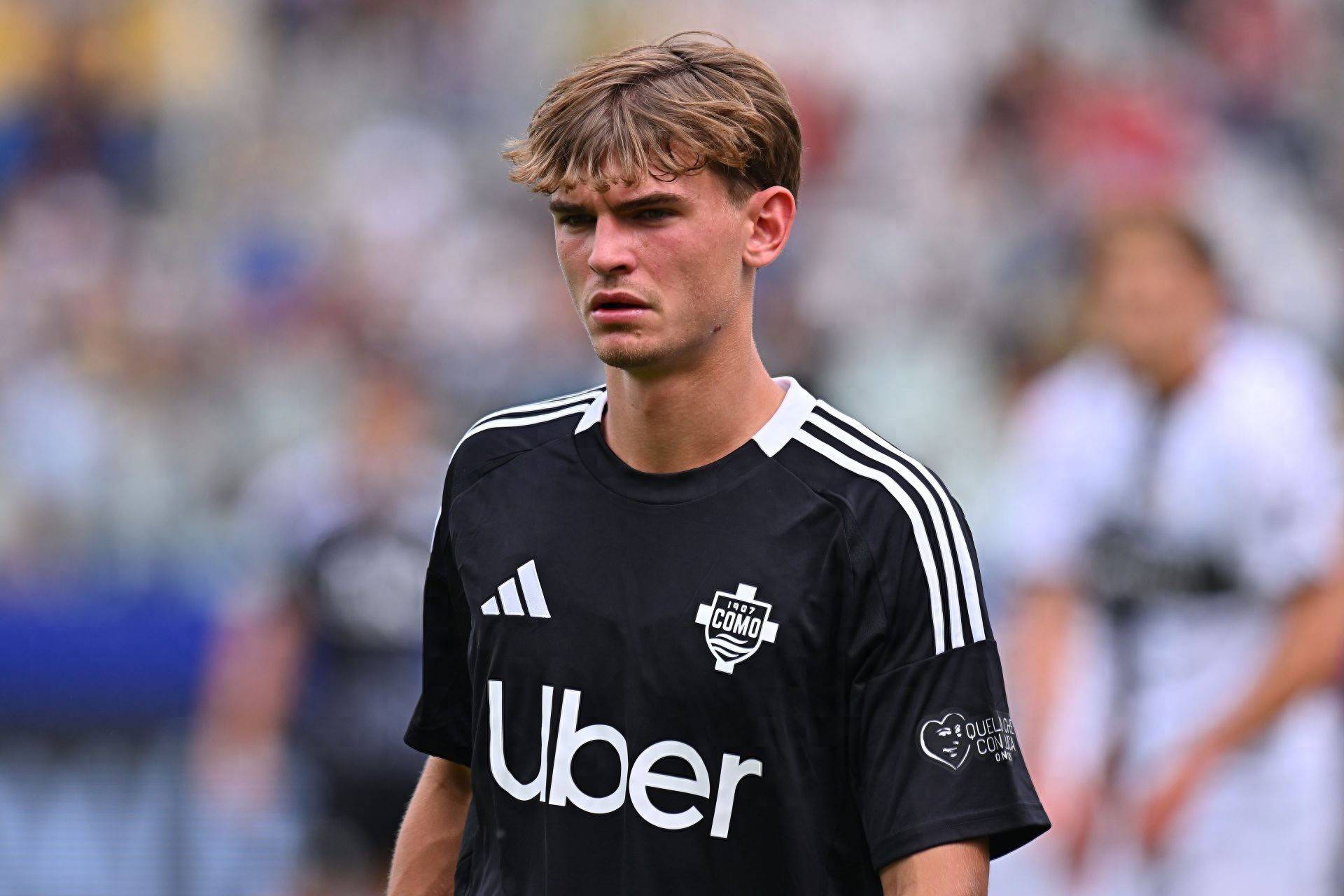 中的瑞典巨 中的瑞典巨